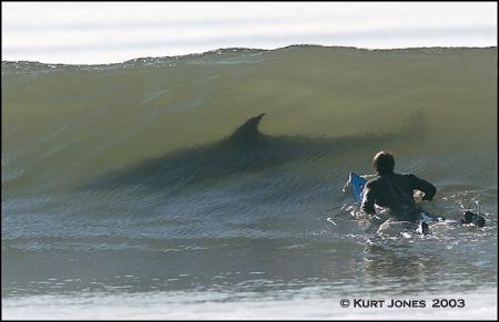 surfeur