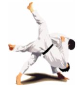 jujitsu